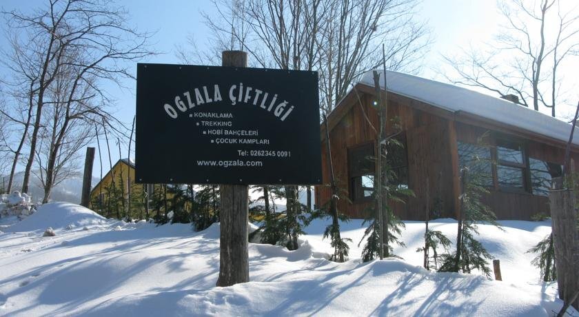 Ogzala Ciftlik Evi — фото 6