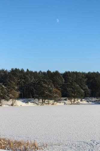 Гродно: Agroecousadba Tarusichi