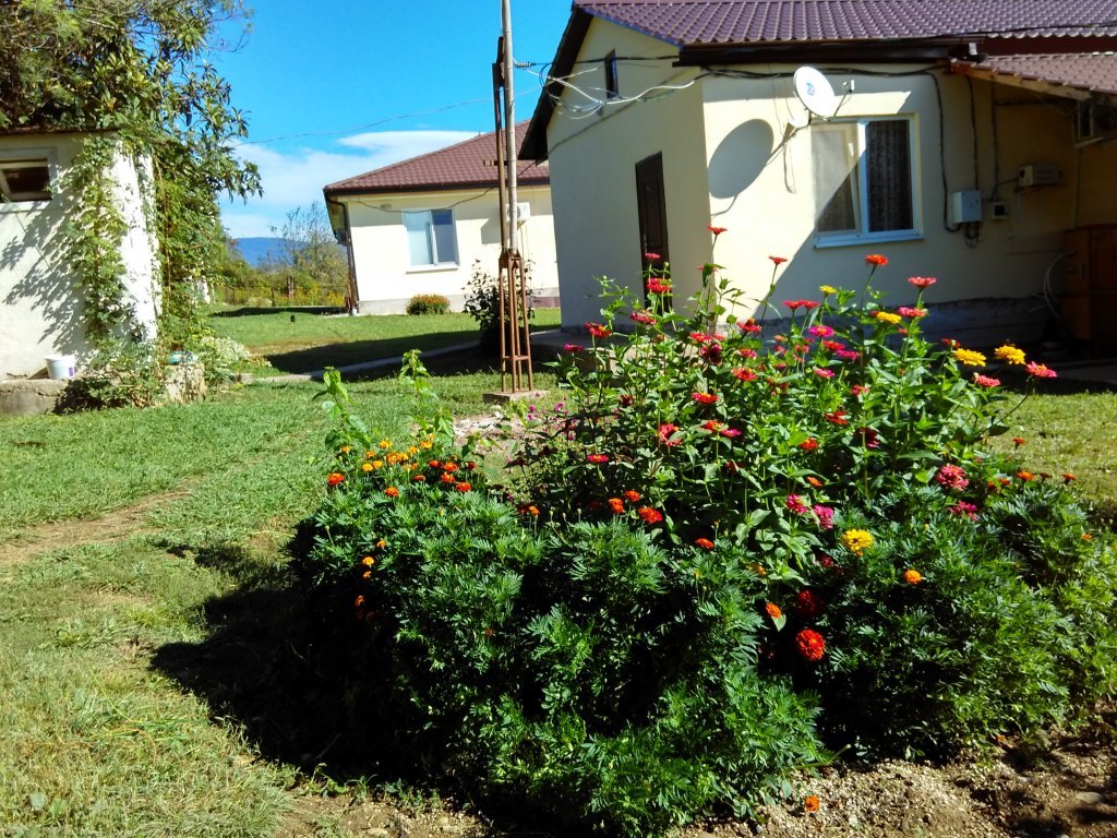 Гудаута: Domik V Derevne Guest House