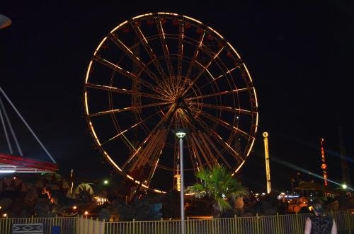 Шекветили: Kottiedzh Yucca