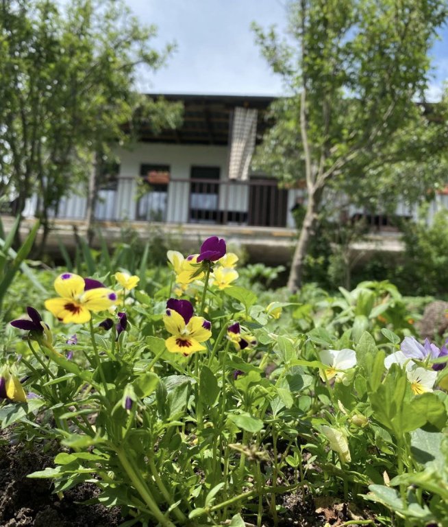 Одзун: Гостевой дом  Green Agarak