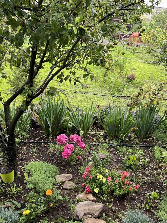 Одзун: Гостевой дом  Green Agarak