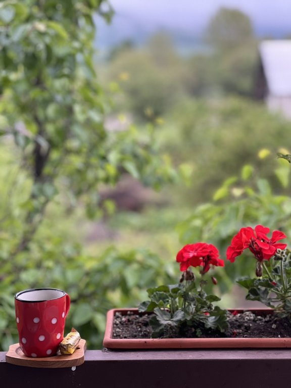 Одзун: Гостевой дом  Green Agarak