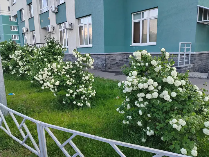 Нижний Новгород: Апартаменты с Видом на Реку