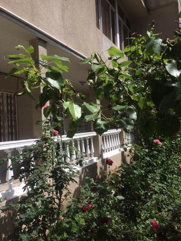 Ереван: Апартаменты Classic Apartment on Kievyan