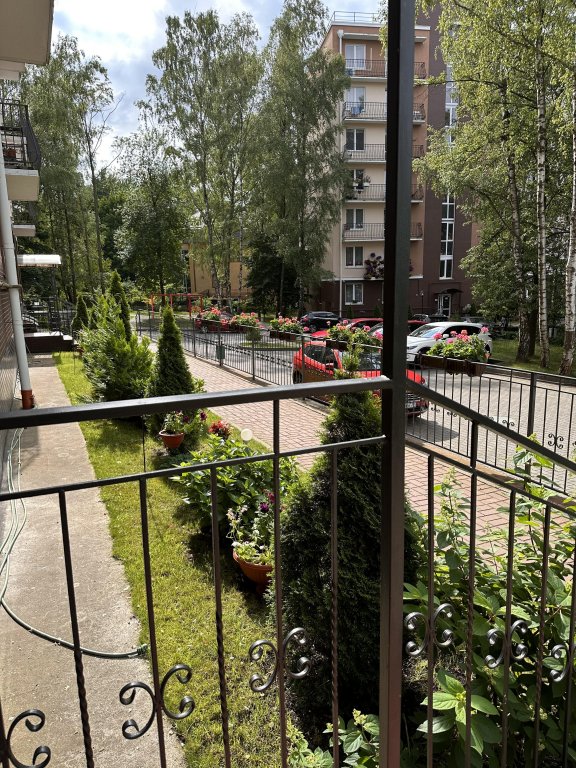 Светлогорск: Квартира Море