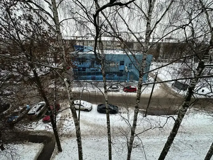 Нижний Новгород: Apartament 52 на улице Прыгунова