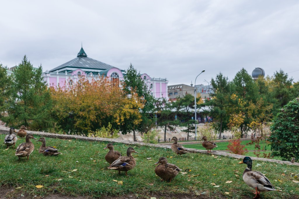 Красноярск: Квартира Apart Royal в Центре Города