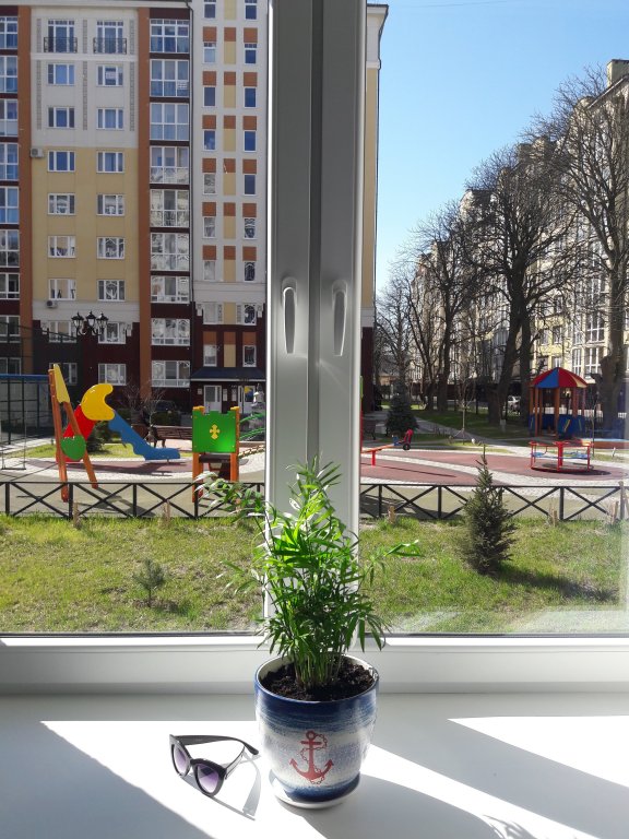 Зеленоградск: Квартира 50 оттенков Балтики