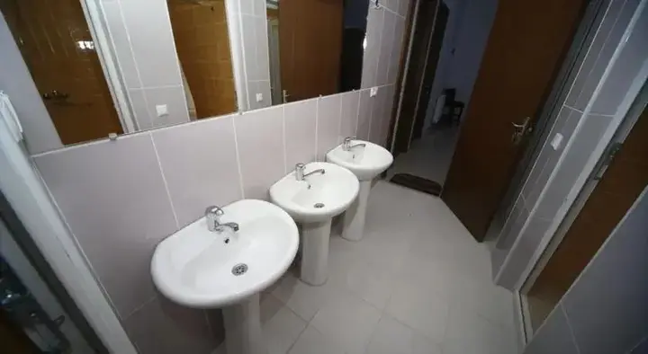 Кутаиси: Hostel Lion