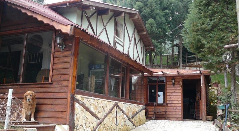 Сайл: Forest Lodge