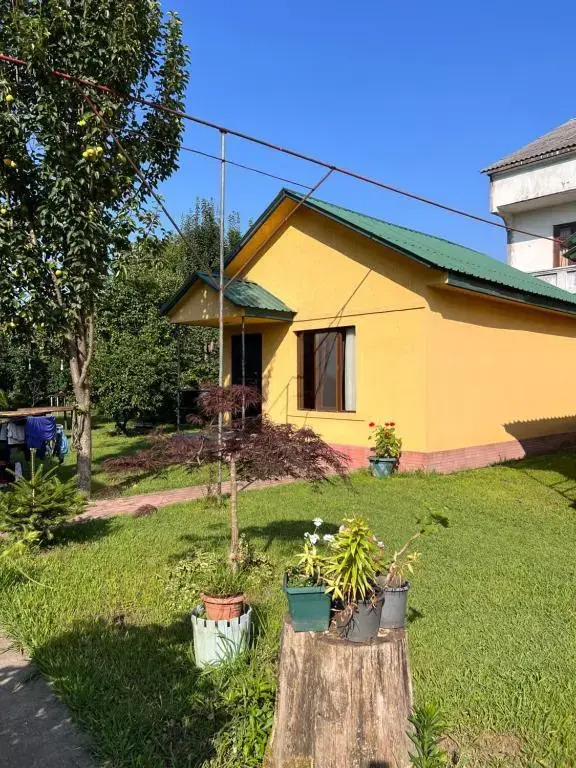 Батуми: Senima's Paradise Guest House
