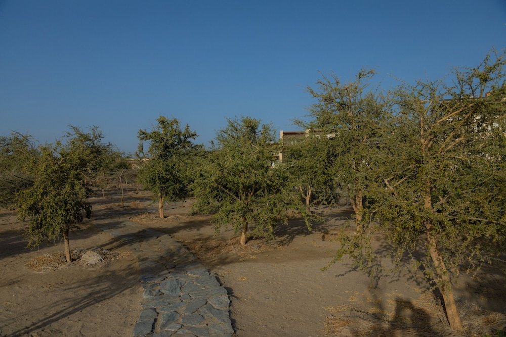 Марса Алам: Wadi Sabarah Lodge