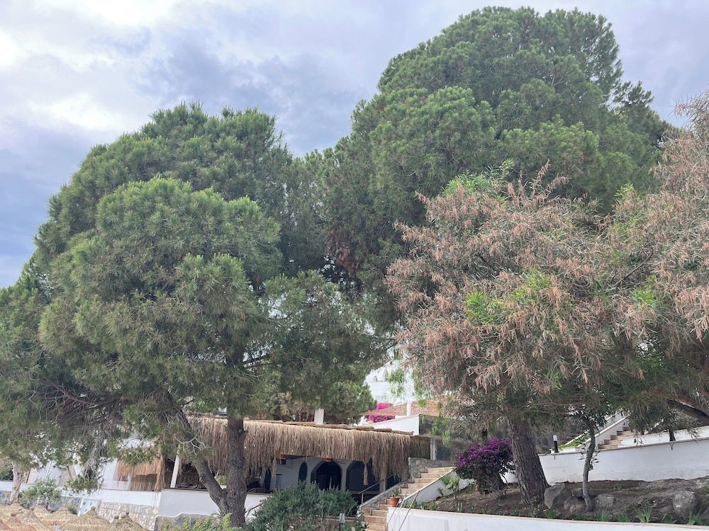 Бодрум: Holiday Inn Resort Bodrum