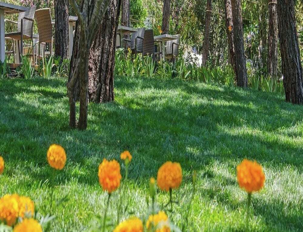 Согучак: Pine Villas & Apartments Kusadasi