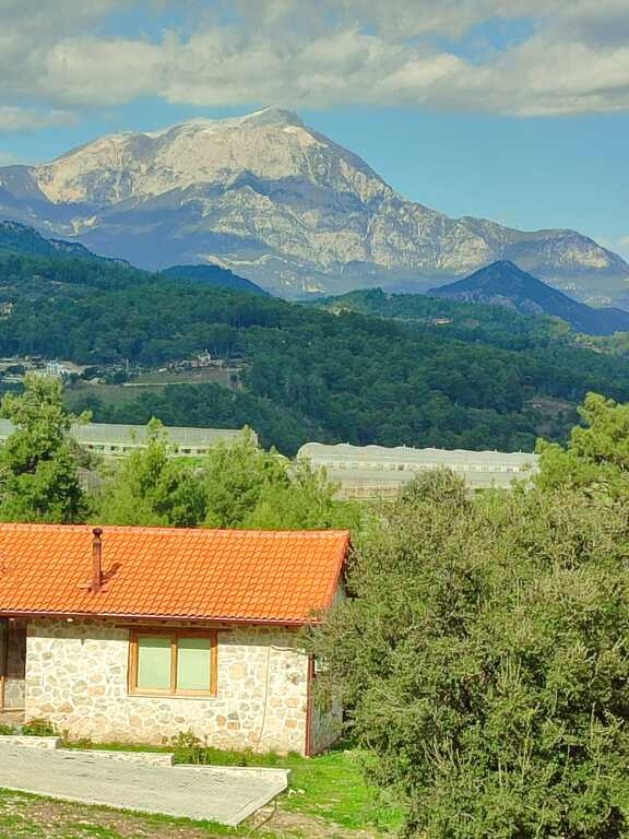 Кумлуджа: Частный дом Olympos Stone House