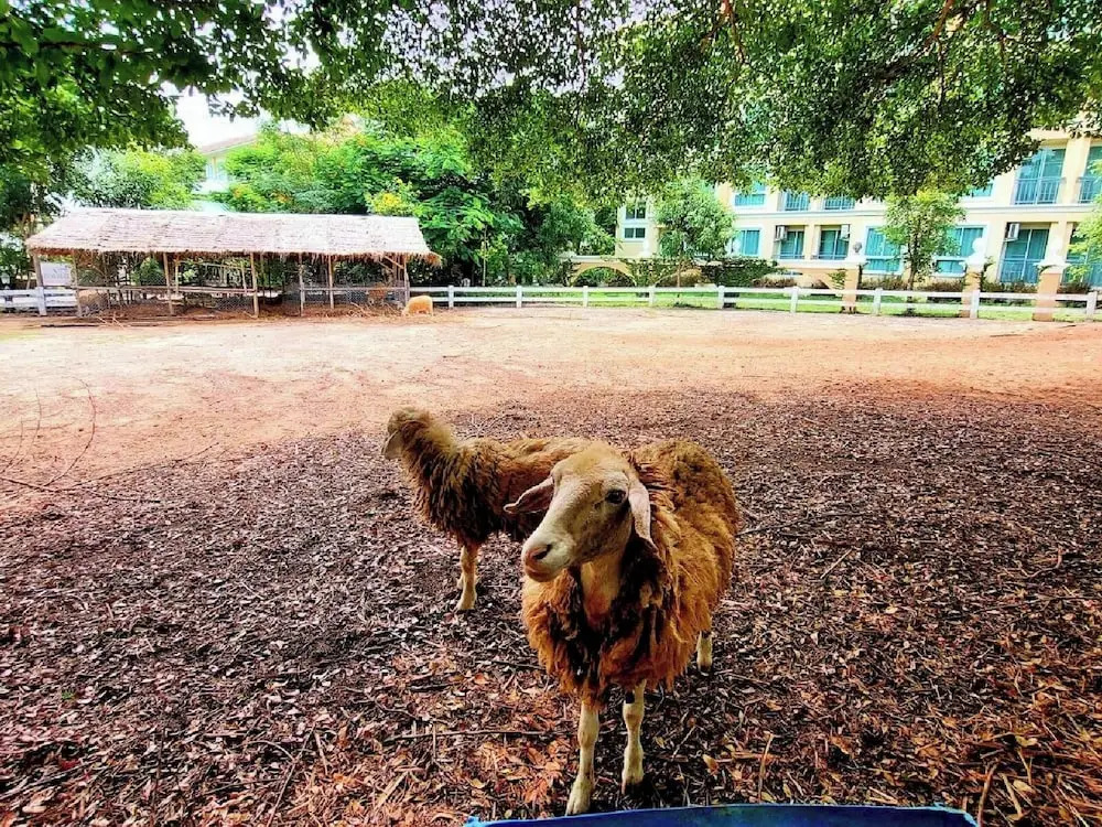Пак-Чонг: Wellness World Khao Yai