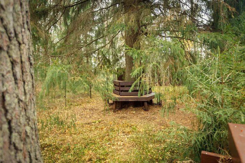 Сосново: Гостевой дом Green Forest у Игоры