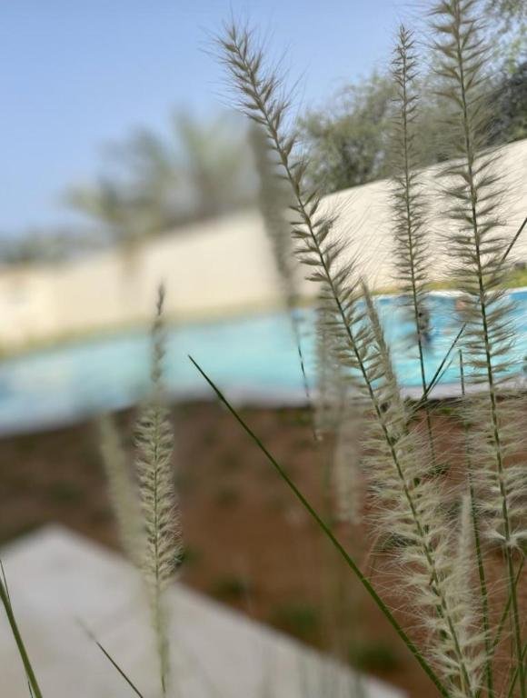 Дибба: Dar Al Nour, partial Ocean view