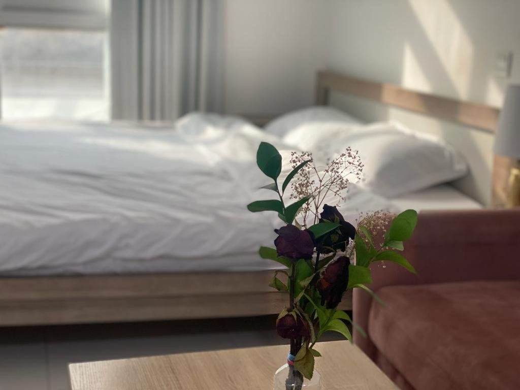 Дубай: Comfortable Apartments and Studios for Rent in Dubai