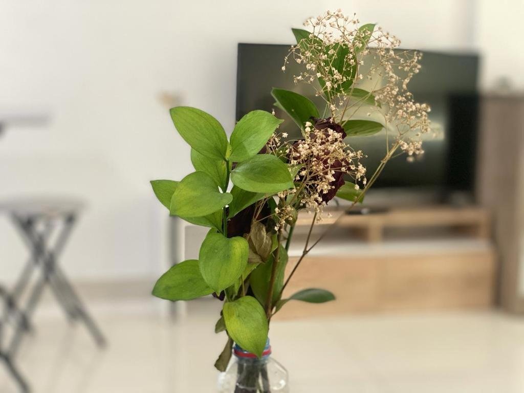 Дубай: Comfortable Apartments and Studios for Rent in Dubai