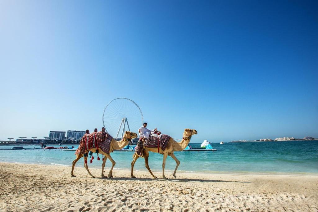 Дубай: Apricus Holiday Homes -JBR Rimal 2BD in front of The Beach