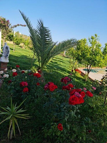 Alanya Incekum Ultra Lux Villa — фото 4
