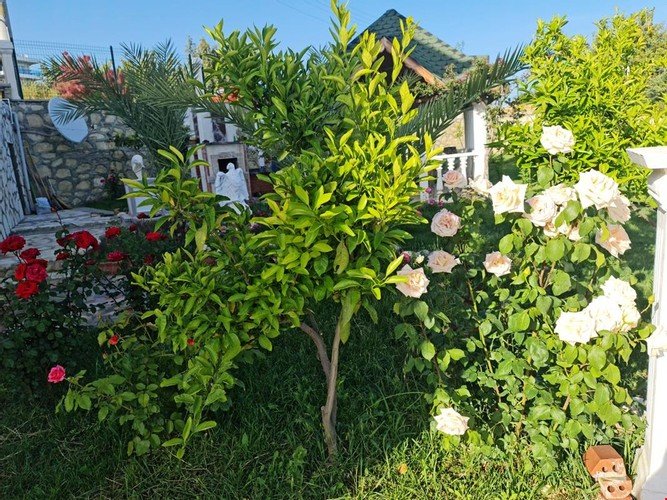 Окурджалар: Alanya Incekum Ultra Lux Villa