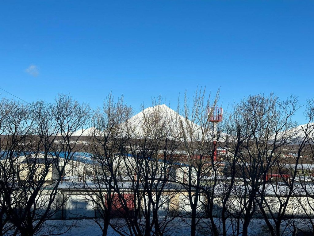 Петропавловск-Камчатский: Квартира IZI home Kamchatka на ул. Заварицкого, 8
