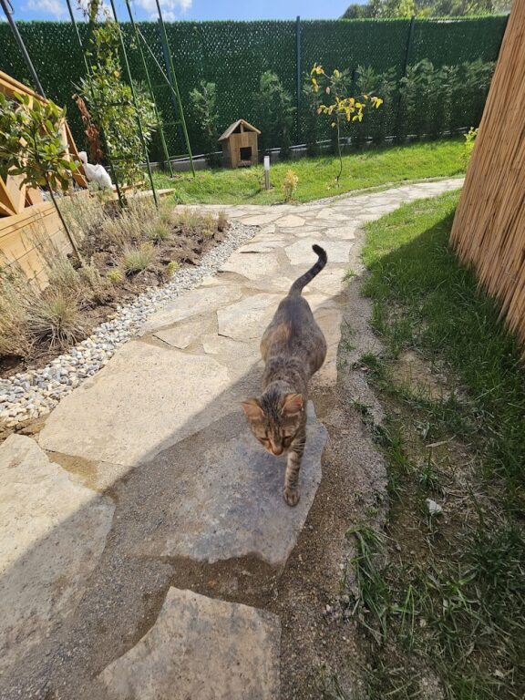 Янык: Teona Kartepe Bungalov