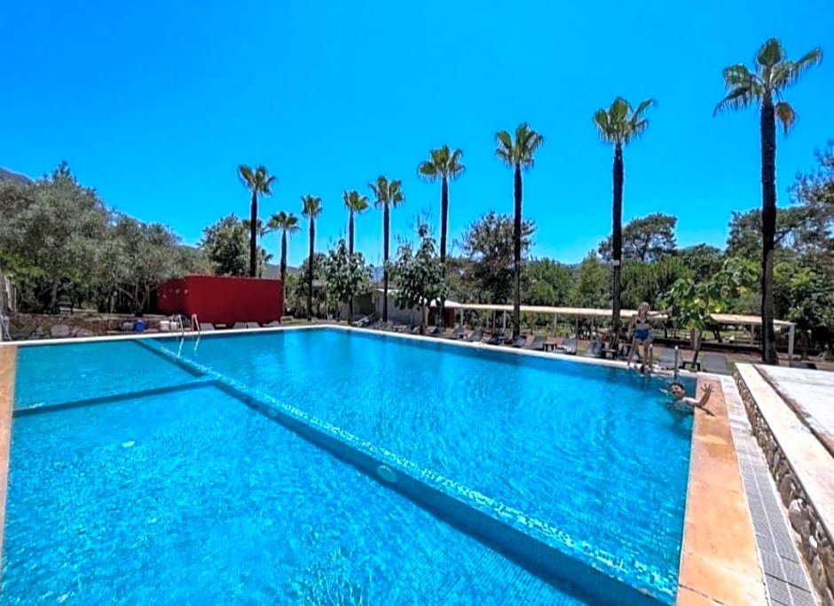 Кумлуджа: Olympos Paradi̇se Hotel