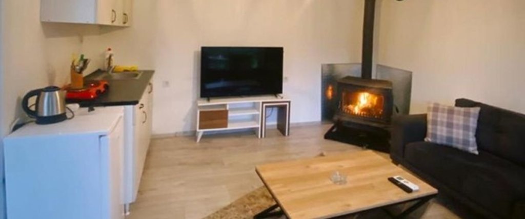 Sapanca Lot5 Tiny House — фото 2