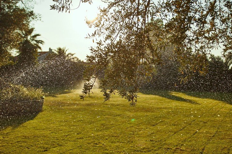 Фоча: Ilcayto Suites +12 Adults Only