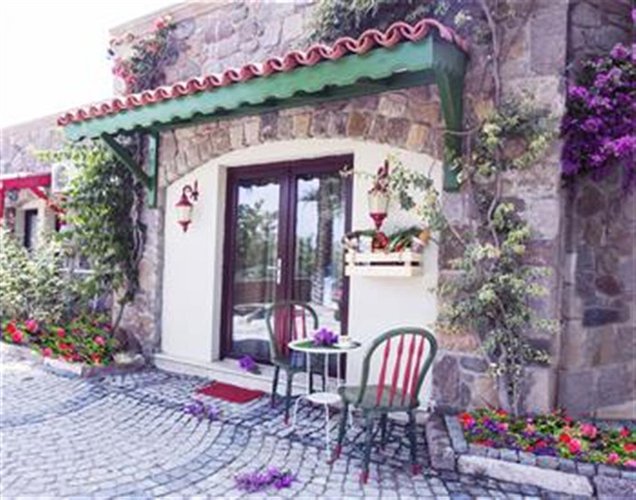 Бодрум: Palmiye Tepesi Bodrum Butik Otel