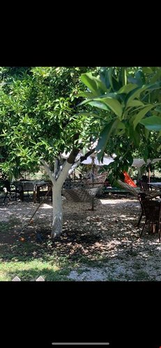 Кумлуджа: Oran Agac Evler