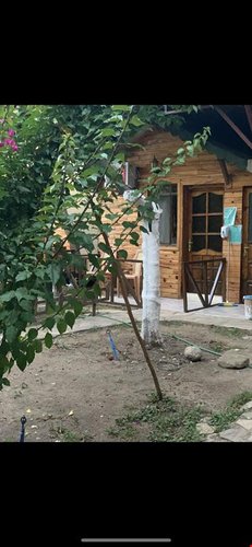 Кумлуджа: Oran Agac Evler