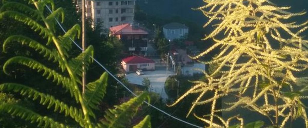 Трабзон: Sirt Yayla Butik Hotel