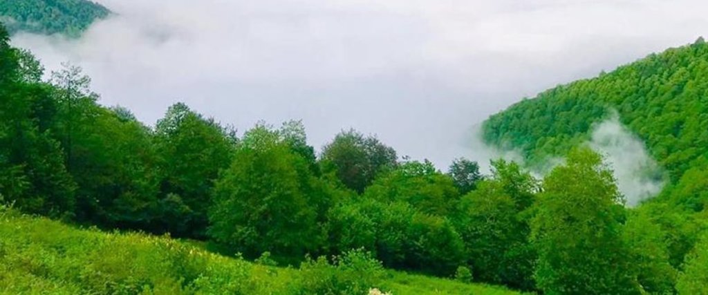Трабзон: Sirt Yayla Butik Hotel