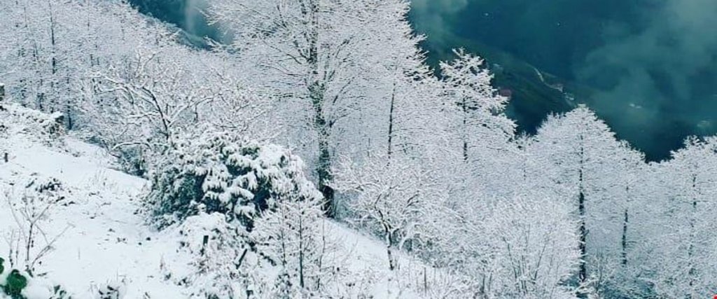 Трабзон: Sirt Yayla Butik Hotel