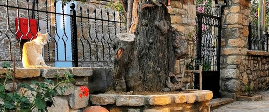 Зейтинликой: İlios Konukevi