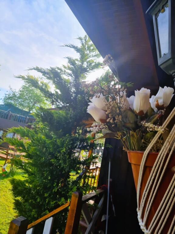 Сайл: İpek Koza Motel