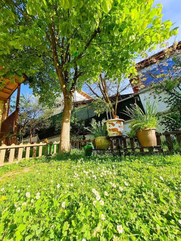 Сайл: İpek Koza Motel