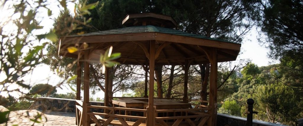 carousel image 1