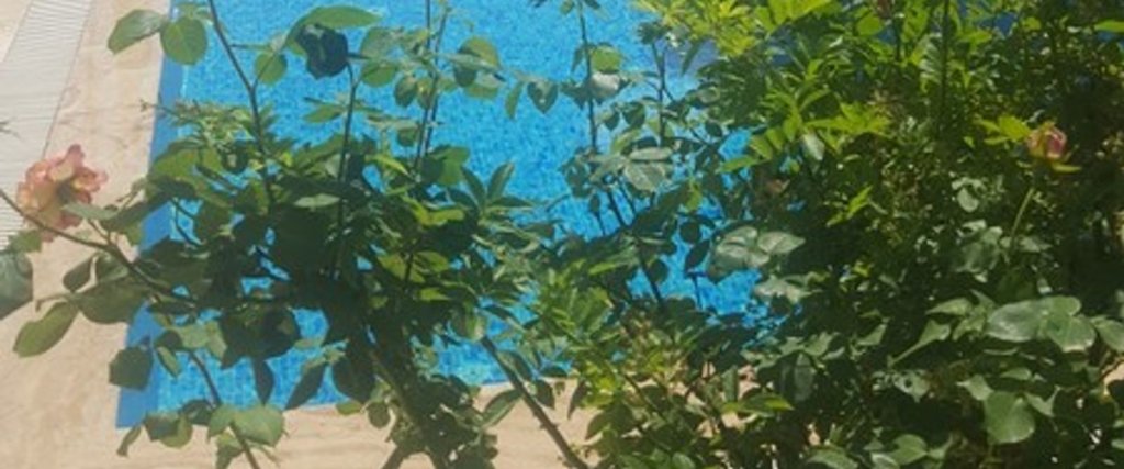 Алтынолук: Refah Villari