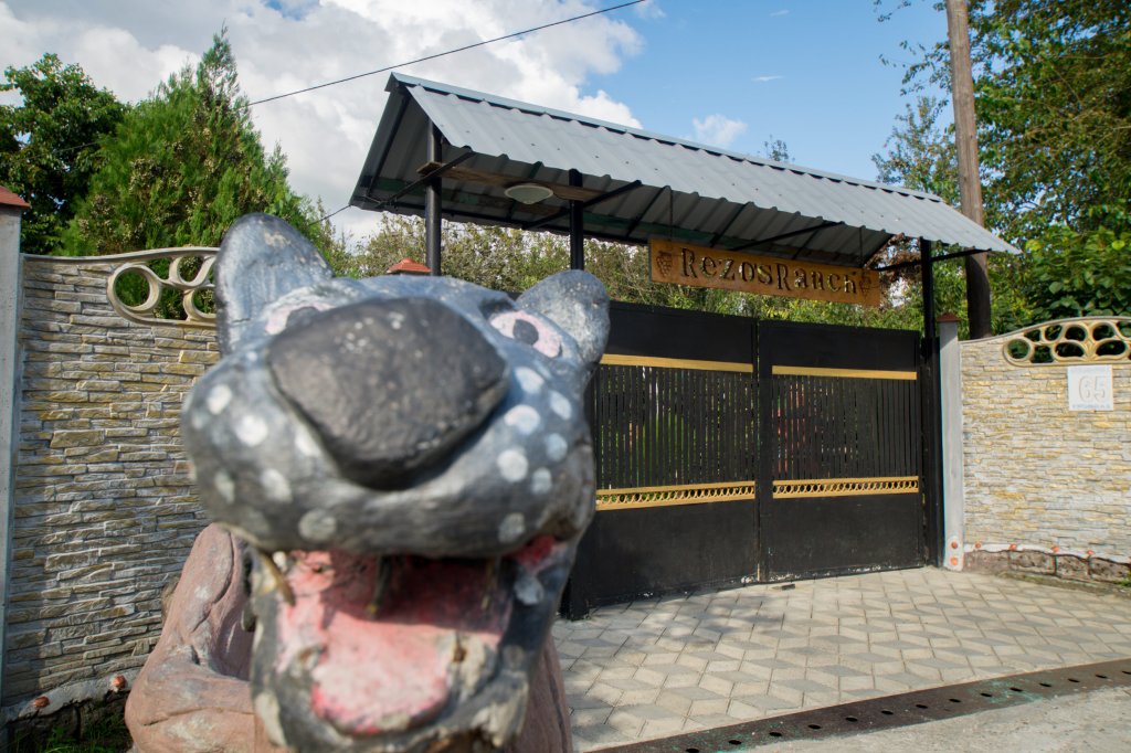 Гостевой дом Rezo's Ranch — фото 3
