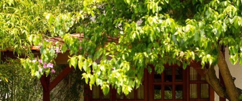 Чиралы: Akdeniz Bahcesi Butik Apart Hotel