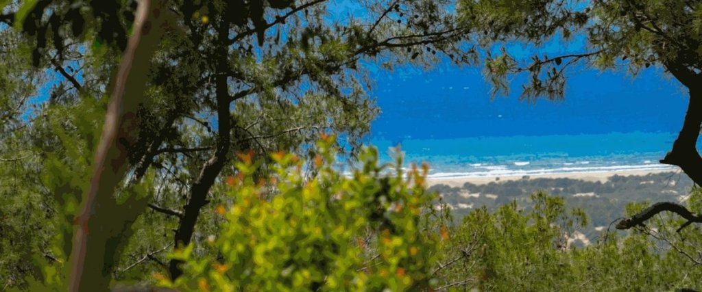 Калкан: Villa Ceren Patara