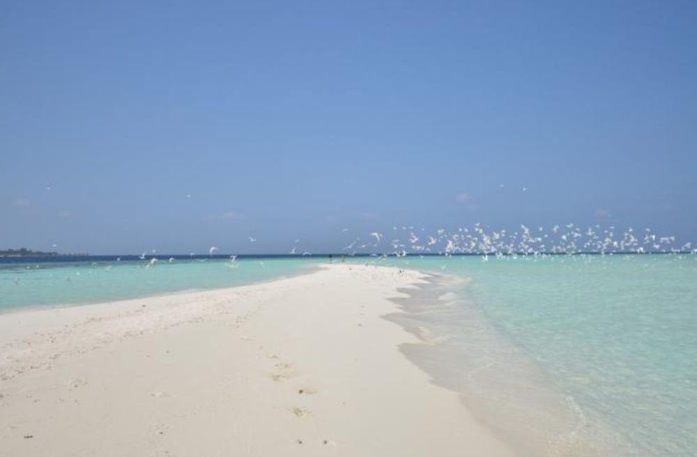 Атолл Алиф-Алиф: Beach Residence