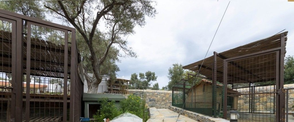 Бодрум: Bodrum Yalıçiftlik'de Villa Bd482