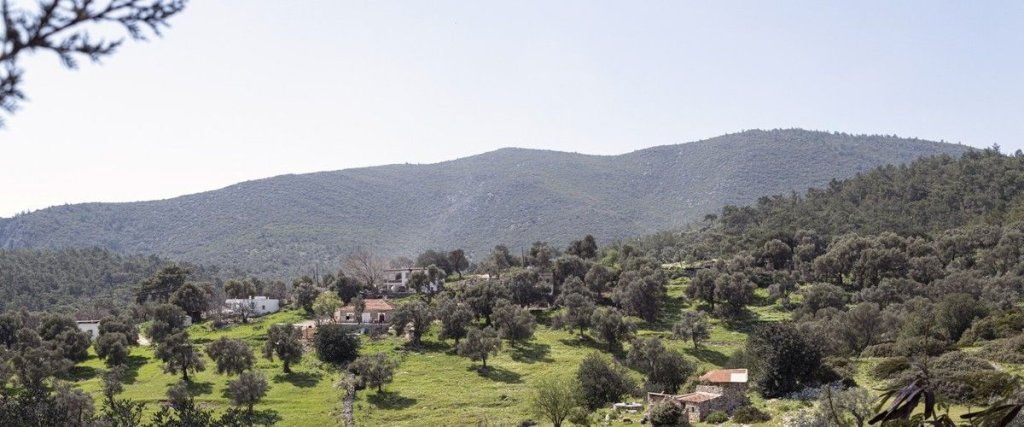 Бодрум: Bodrum Yalıçiftlik'de Villa Bd482